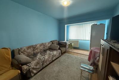 Apartament spatios cu o camera, 20 mp + balcon - Bucovina - 1