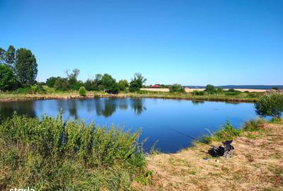 Teren de 18247 mp, în Chișlaz - 11