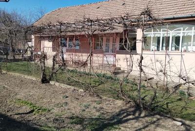 Casă cu 2 camere cu Teren 560 Mp în Morești - 5