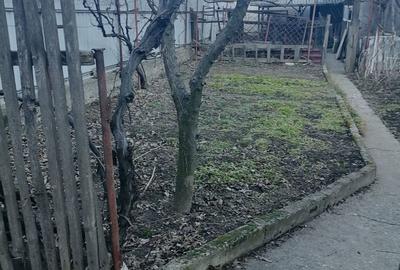 Casă cu 3 camere în Central - 17