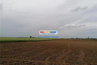 Teren intravilan de 16700 mp, în Balotești