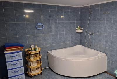 Casă cu 5 camere în Borlovenii Noi - 6