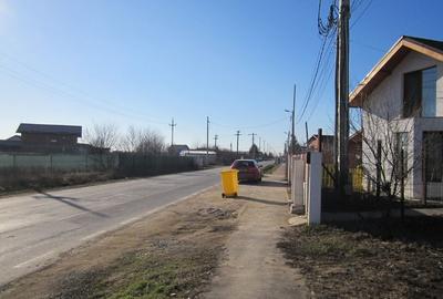 Teghes-Padurarului - 12