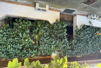 Casă cu 5 camere în Moniom - 8