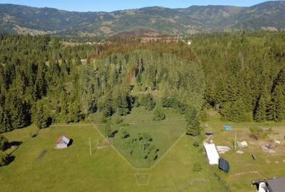 Teren 19,370mp Neagra Sarului / Strada ?estina - 6