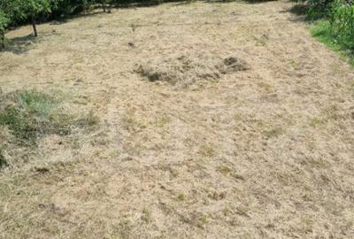 Casa de vanzare la ro?u, Ca?eiu 250 mp utili ?i te - 1