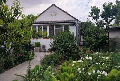 Casa cu suflet in centrul Medgidiei- gradina superba - 8