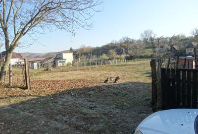 Teren Construcții intravilan de 1288 mp, în Maiad - 5