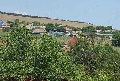 Casa la tara Camena, jud Tulcea - 3