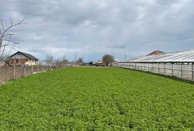 Teren de 6100 mp, în Corod - 3