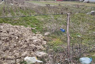 Teren de 774 mp, în Crivăț - 3