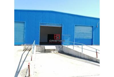 Spațiu comercial, de 2,750 mp, în Chiajna - 6