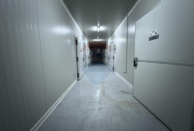 Hala frigorifica 500 mp de vanzare in Mihai Viteazu Constanta Tulcea - 2