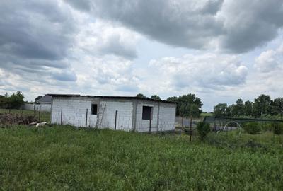 Casă cu 3 camere în Vidra - 3