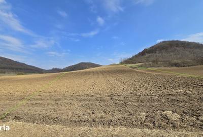 Teren de 7000 mp, în Hoghilag - 6