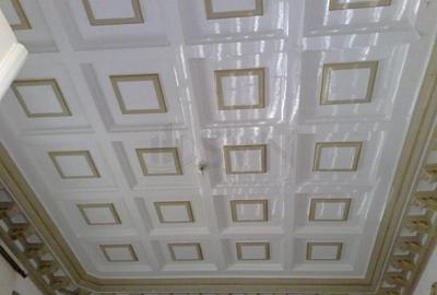 Vila deosebita Lascar Catargiu gradina mare Vila deosebita Lascar Catargiu gradina mare - 12