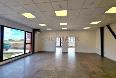 Hala noua de inchiriat , zona Lugojului - Aeroport Tmisoara - 6