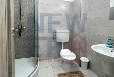 Apartament cu 3 camere decomandat în Haliu - 9