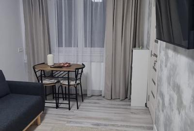 Garsonieră semidecomandată, mobilată în P-ța Alba Iulia - 5