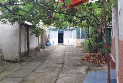 Casă cu 5 camere în Ineu - 1