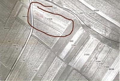 Teren de 3300 mp, în Comănești
