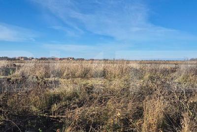 Teren intravilan de vanzare, 900 mp, in Odoreu - 1