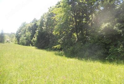 Teren de 10000 mp, în Central - 7