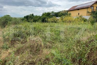 Teren Construcții intravilan de 2100 mp, în Nord-Vest