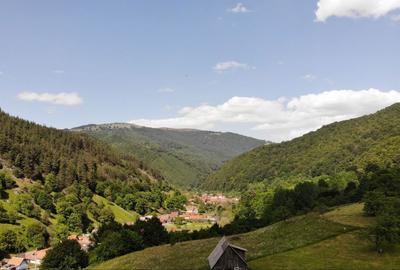 Casă cu 4 camere în Râu Sadului - 4