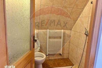 Casă cu 6 camere cu Teren 1123 Mp în Ocna Șugatag - 13