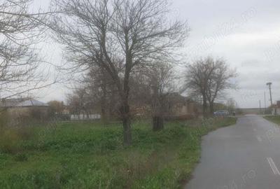 2(doua) teren intravilan in localitatea Giurgi?a, judetul Dolj. - 1