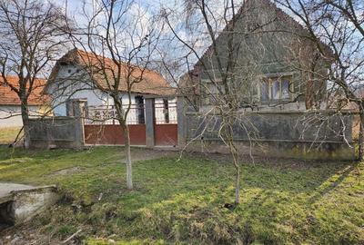 Vand casa Tau?, Arad Vand casa Tau?, Arad - 5