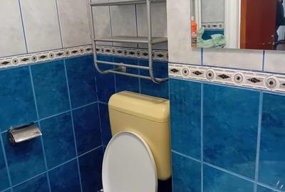 Apartament cu 2 camere decomandat în Colentina - 4