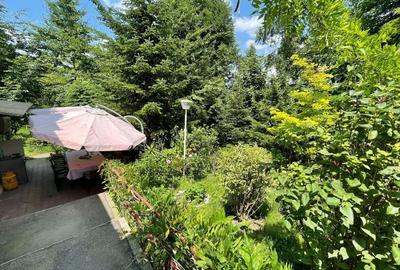 Avem un "Colt de rai" la Vanzare - 7