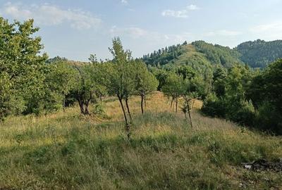 Spațiu comercial, în Luncani - 7