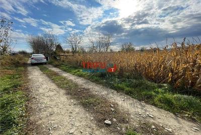Teren intravilan de vânzare în Șard - 2