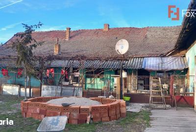Casă cu 7 camere cu Teren 1458 Mp în Lenauheim - 18