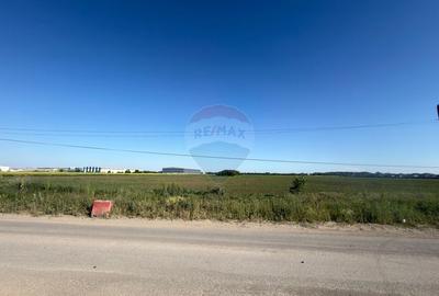 Teren agricol intravilan de 10555 mp, în Clinceni - 11