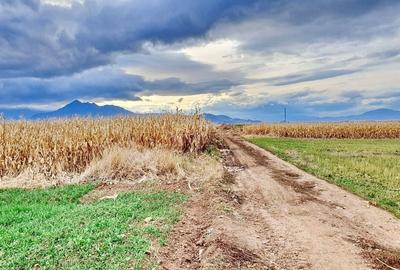 Teren extravilan Tarlungeni - 6