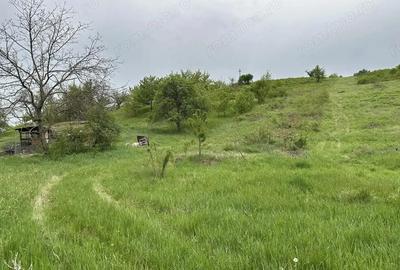 Teren Oradea 1000 mp zona Dealuri - 2