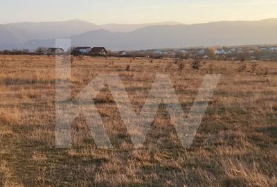 Oportunitate investitie | De vanzare, 3 parcele de 560 mp. - 5