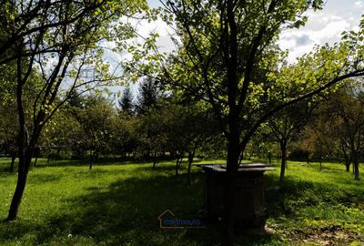 Familia ta merita casa asta - Vezi de ce e unica! - 17