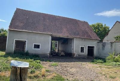 Casă cu 4 camere în Balomiru de Câmp - 4