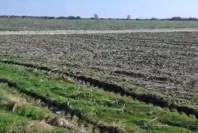 Vanzare teren Vidra Cartier Megaparc - 7