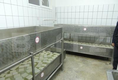 Spațiu comercial, de 500 mp, în Central - 10