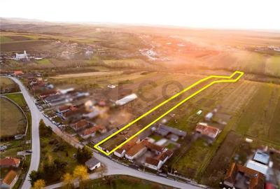 Teren în Hotar - 4