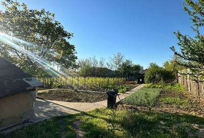 Casă individuală cu 3 camere cu Teren 1167 Mp în Băneasa - 1