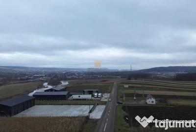 Teren de 14066 mp, în Mihoveni - 9