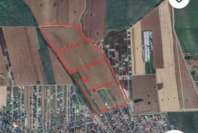 Spațiu comercial, în Șendreni - 3