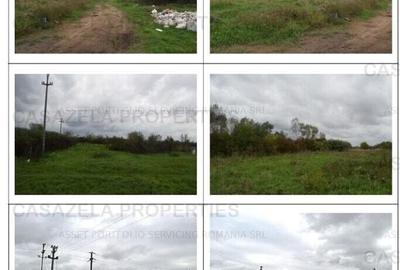 Teren intravilan 6897 Lugoj - 2